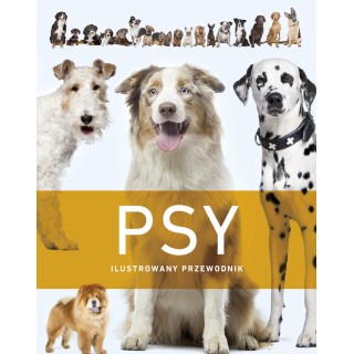 Psy